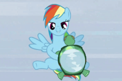 Size: 683x452 | Tagged: safe, screencap, rainbow dash, tank, pony, g4, tanks for the memories, context is for the weak, not what it looks like, out of context