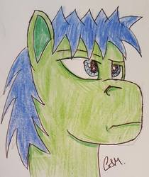 Size: 807x960 | Tagged: safe, artist:rapidsnap, oc, oc only, oc:rapidsnap, pony, bust, lidded eyes, portrait, solo, traditional art, unamused