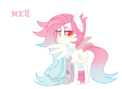 Size: 3482x2553 | Tagged: safe, artist:sorasku, oc, oc only, oc:silver, pegasus, pony, female, high res, mare, meh, prosthetic limb, prosthetics, simple background, solo, transparent background, unamused