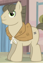 Size: 379x551 | Tagged: safe, screencap, tailor made, earth pony, pony, g4, the cutie map, background pony, burlap, equal cutie mark, male, shopkeeper, solo, stallion