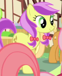 Size: 295x360 | Tagged: safe, screencap, lavender fritter, pony, g4, green isn't your color, my little pony: friendship is magic, season 1, bow, cropped, hair bow, solo, twin bows