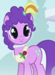 Size: 260x355 | Tagged: safe, screencap, purple wave, earth pony, pony, g4, the ticket master, cropped, female, flower, jewelry, looking at you, mare, necklace, rose, solo