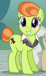Size: 360x596 | Tagged: safe, screencap, lady justice, mayor mare, swift justice, earth pony, pony, a friend in deed, g4, background pony, female, mare, smile song, smiling, solo focus, suit collar, tail bun