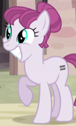 Size: 313x515 | Tagged: safe, screencap, rosemary, earth pony, pony, g4, season 5, the cutie map, cropped, equal cutie mark, equalized, fake smile, female, grin, mare, raised hoof, smiling, solo