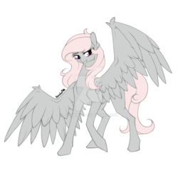 Size: 1024x1024 | Tagged: safe, artist:basykail, oc, oc only, pegasus, pony, concave belly, female, fit, large wings, mare, simple background, slender, solo, thin, transparent background, watermark, wings