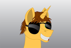 Size: 3002x2003 | Tagged: safe, artist:theeultimateguy, oc, oc only, oc:yellow star, pony, unicorn, bust, gradient background, grin, high res, portrait, smiling, solo, sunglasses