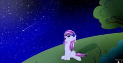 Size: 1245x642 | Tagged: safe, artist:renathesnakecharmers, oc, oc only, earth pony, pony, bow, female, hair bow, mare, night, shooting star, solo, stargazing