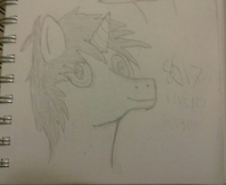Size: 1280x1051 | Tagged: safe, artist:seabridge drive, oc, oc only, oc:spellsword, pony, looking at you, solo, traditional art