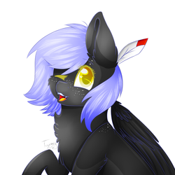 Size: 1000x1000 | Tagged: safe, artist:twinkepaint, oc, oc only, oc:cloudy night, pegasus, pony, chest fluff, ear fluff, feather, female, mare, one eye closed, open mouth, raised hoof, simple background, smiling, solo, white background, wink