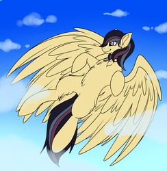 Size: 3500x3580 | Tagged: safe, artist:fkk, oc, oc only, pegasus, pony, commission, female, flying, high res, mare, solo, ych result