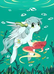 Size: 1600x2200 | Tagged: dead source, safe, artist:kinda-l, oc, oc only, fish, pegasus, pony, solo, swimming, underwater