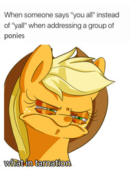 Size: 675x883 | Tagged: safe, artist:sion, edit, applejack, pony, g4, bust, colored pupils, eyeshadow, female, frown, makeup, meme, ponified animal photo, solo, squint, unamused, what in tarnation, y'all