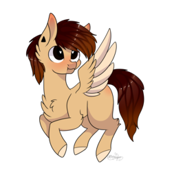 Size: 1915x1899 | Tagged: safe, artist:ohhoneybee, oc, oc only, pegasus, pony, blushing, chest fluff, colored wings, male, multicolored wings, puffy cheeks, simple background, solo, stallion, transparent background