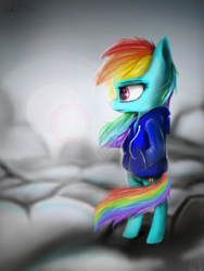 Size: 768x1024 | Tagged: safe, artist:nikisha15, rainbow dash, pony, g4, bipedal, clothes, cloud, female, hoodie, signature, solo, windswept mane