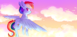 Size: 2500x1200 | Tagged: dead source, safe, artist:shiny-cooler, rainbow dash, pony, g4, chest fluff, cloud, female, flying, solo, sunset