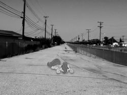 Size: 2560x1920 | Tagged: safe, artist:crucifythewolf, scootaloo, pony, g4, irl, lying, photo, ponies in real life, road, solo