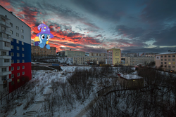 Size: 1280x853 | Tagged: safe, trixie, pony, unicorn, g4, to where and back again, city, cityscape, female, irl, macro, mare, photo, plattenbau, ponies in real life, russia, solo, sunset, winter