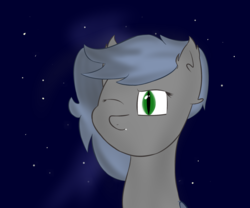 Size: 1800x1500 | Tagged: safe, artist:melon frost, oc, oc only, oc:eclipse penumbra, bat pony, pony, bust, ear fluff, night, night sky, one eye closed, portrait, smiling, solo, stars, wink