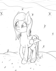 Size: 1224x1539 | Tagged: safe, artist:wolfsnebel, oc, oc only, oc:necra, pegasus, pony, cold, monochrome, sketch, snow, solo