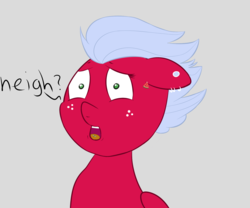Size: 1800x1500 | Tagged: safe, artist:melon frost, oc, oc only, oc:melon frost, pony, ear piercing, freckles, neigh, open mouth, piercing, scared, solo