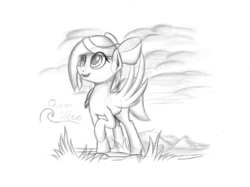 Size: 2732x2048 | Tagged: safe, artist:marmorexx, oc, oc only, oc:ocean wave, pegasus, pony, bow, female, grayscale, hair bow, high res, looking up, mare, monochrome, open mouth, pegasus oc, raised hoof, sketch, smiling, solo, spread wings, traditional art