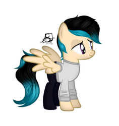 Size: 2712x2872 | Tagged: safe, artist:aldobronyjdc, oc, oc only, oc:aldenzbeat, pegasus, pony, clothes, high res, male, signature, simple background, solo, transparent background
