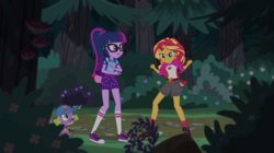 Size: 1100x618 | Tagged: safe, screencap, sci-twi, spike, spike the regular dog, sunset shimmer, twilight sparkle, dog, equestria girls, g4, my little pony equestria girls: legend of everfree, backpack, boots, cap, clothes, converse, fist, forest, hat, shoes, shorts, sneakers, socks