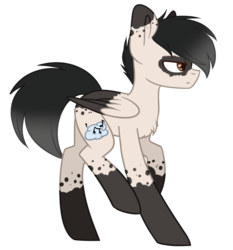 Size: 1343x1440 | Tagged: safe, artist:despotshy, oc, oc only, oc:somnus, pegasus, pony, male, simple background, solo, stallion, transparent background