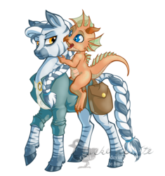 Size: 1820x1936 | Tagged: safe, artist:chickenwhite, oc, oc only, oc:fizzle, oc:junaid zahir duad, dragon, zebra, ponyfinder, bag, braid, braided tail, clothes, copper dragon, dungeons and dragons, duo, lidded eyes, looking at each other, looking back, metallic dragon, open mouth, pen and paper rpg, raised hoof, riding, rpg, simple background, smiling, transparent background