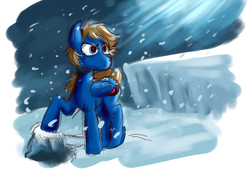 Size: 1166x825 | Tagged: safe, artist:danteante, oc, oc only, oc:bizarre song, pegasus, pony, male, mountain, snow, solo
