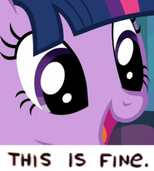 Size: 499x555 | Tagged: safe, edit, edited screencap, editor:watermelon changeling, screencap, twilight sparkle, alicorn, pony, the fault in our cutie marks, cute, female, meme, solo, this is fine, twiabetes, twilight sparkle (alicorn)