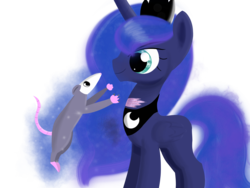 Size: 4000x3000 | Tagged: safe, artist:songbirdserenade, princess luna, tiberius, alicorn, opossum, pony, g4, pet, simple background, transparent background