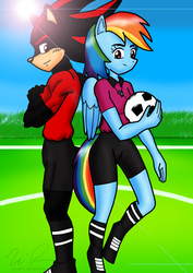 Size: 1167x1652 | Tagged: safe, artist:sonigoku, rainbow dash, anthro, unguligrade anthro, g4, crossover, male, shadow the hedgehog, sonic the hedgehog, sonic the hedgehog (series)