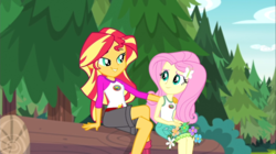 Size: 1100x618 | Tagged: safe, screencap, fluttershy, sunset shimmer, equestria girls, g4, my little pony equestria girls: legend of everfree, clothes, crossed legs, embrace the magic, female, flower, log, scenery, shorts, sitting, socks