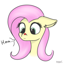 Size: 1750x1750 | Tagged: safe, artist:kraget, fluttershy, ladybug, pony, g4, bust, female, floppy ears, insect on nose, looking at something, portrait, simple background, solo, white background