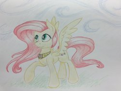 Size: 1024x772 | Tagged: safe, artist:grokostimpy, fluttershy, pony, g4, colored pencil drawing, element of kindness, female, looking away, looking up, raised hoof, solo, spread wings, traditional art, windswept mane