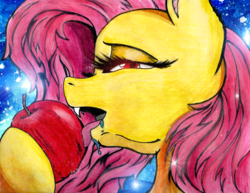 Size: 2016x1555 | Tagged: safe, artist:pepperscratch, fluttershy, bat pony, pony, g4, apple, drool, female, flutterbat, food, licking, lidded eyes, race swap, solo, tongue out, traditional art