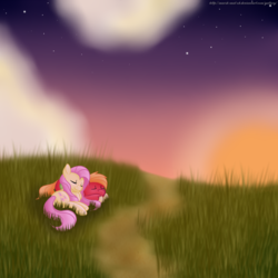 Size: 2500x2500 | Tagged: safe, artist:marsh-mal-oh, big macintosh, fluttershy, earth pony, pony, g4, cuddling, grass, high res, hill, male, ship:fluttermac, shipping, sleeping, snuggling, stallion, straight, sunset
