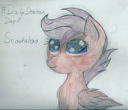 Size: 1909x1640 | Tagged: safe, artist:silversthreads, scootaloo, pegasus, pony, g4, daily sketch, female, filly, sketch, solo, traditional art
