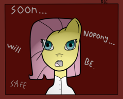 Size: 1280x1024 | Tagged: safe, artist:gera, fluttershy, pony, g4, edgy, female, murdershy, recording, solo, tumblr