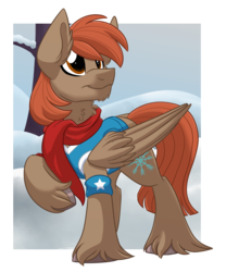 Size: 1000x1200 | Tagged: safe, artist:itstaylor-made, oc, oc only, oc:winterlight, pegasus, pony, g4, winter wrap up, clothes, cute, male, scarf, solo, stallion, unshorn fetlocks, vest, weather team, winter wrap up vest