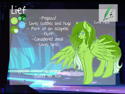 Size: 2000x1500 | Tagged: safe, artist:liefsong, oc, oc only, oc:lief, pegasus, pony, reference sheet, solo