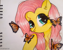 Size: 1360x1067 | Tagged: safe, artist:spurfmeow, fluttershy, butterfly, pony, g4, bust, female, looking away, no mouth, portrait, solo, traditional art