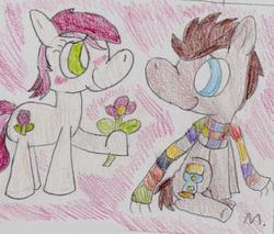 Size: 1385x1182 | Tagged: safe, artist:ptitemouette, doctor whooves, roseluck, time turner, earth pony, pony, g4, clothes, doctor who, flower, male, scarf, ship:doctorrose, shipping, stallion, straight, traditional art