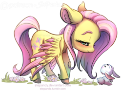 Size: 912x681 | Tagged: safe, artist:stepandy, angel bunny, fluttershy, g4, cute, duo, looking down, shyabetes, simple background, smiling, transparent background, unshorn fetlocks, watermark
