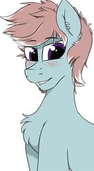 Size: 721x1304 | Tagged: safe, anonymous artist, oc, oc only, oc:duty crew, pony, blushing, chest fluff, ear fluff, ear piercing, earring, fluffy, freckles, jewelry, male, piercing, solo, stallion