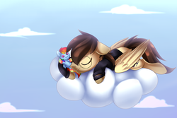 Size: 4500x3000 | Tagged: safe, artist:scarlet-spectrum, rainbow dash, oc, oc only, oc:binary dash, pegasus, pony, brown hair, cloud, commission, glasses, high res, male, plushie, prone, sky, sleeping, smiling, stallion