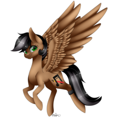 Size: 3000x2742 | Tagged: safe, artist:ohhoneybee, oc, oc only, oc:artsong, pegasus, pony, female, high res, mare, simple background, solo, transparent background