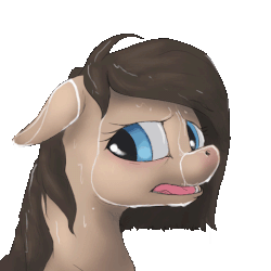 Size: 512x512 | Tagged: safe, artist:difetra, oc, oc only, oc:tera bit, pony, g4, animated, bust, frame by frame, gif, portrait, simple background, solo, squigglevision, transparent background, wet, wet mane