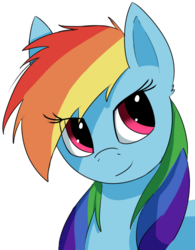 Size: 500x640 | Tagged: safe, artist:swiftsketchpone, rainbow dash, g4, bust, female, portrait, simple background, solo, white background